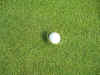 DIVOT.jpg (95153 bytes)